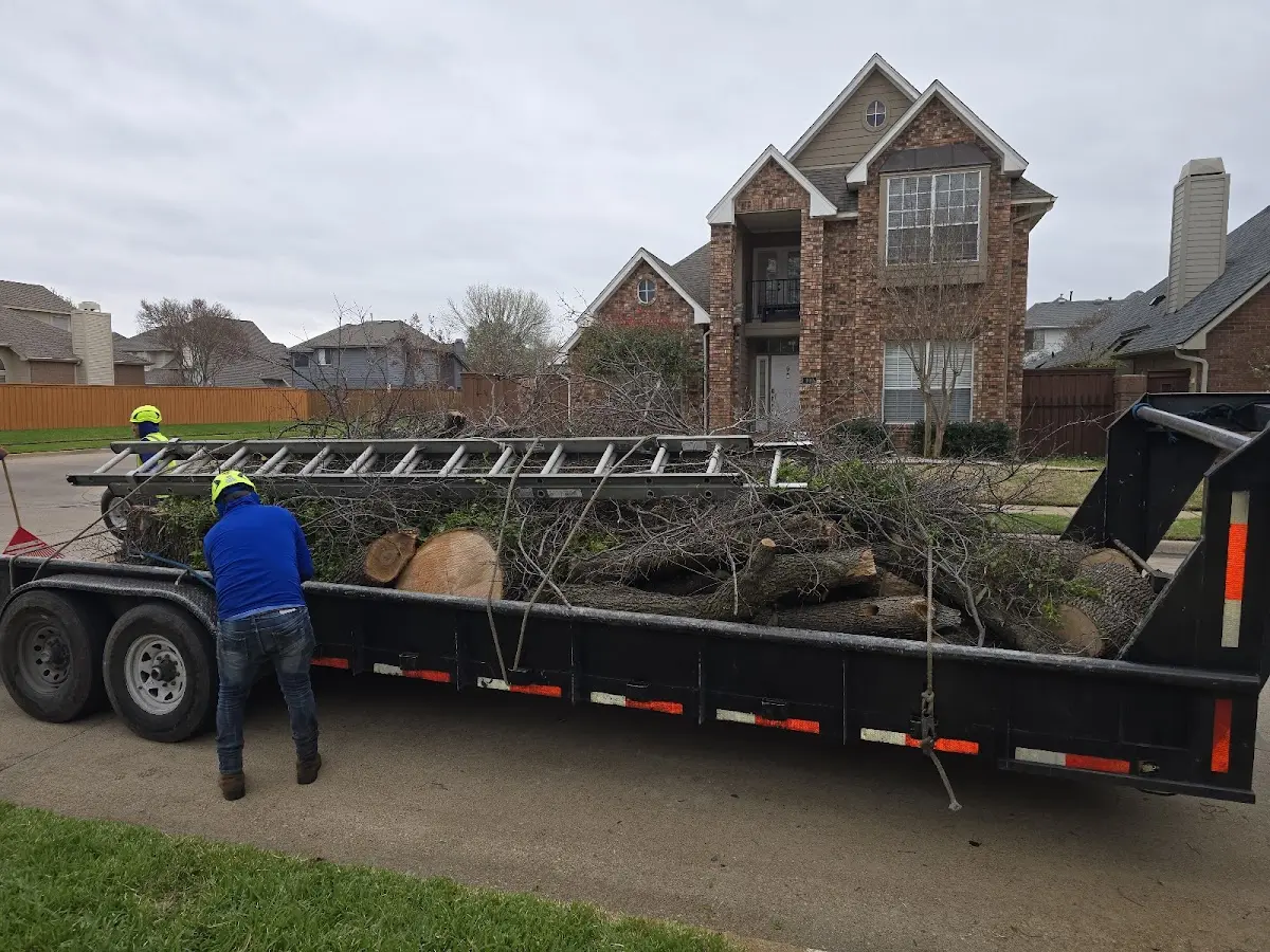 Expert Tree Fertilization with proper safety equipment in Winterville
